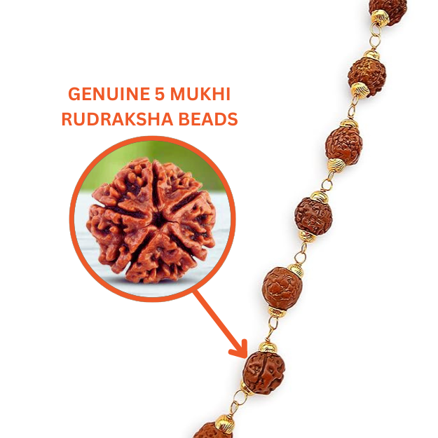 Latest Rudraksha Gold Plated Chain