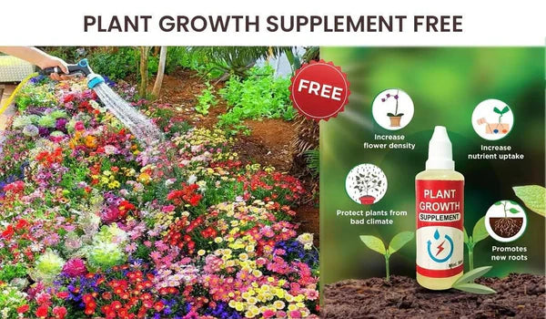 120 Varieties of Flower Seeds & Get FREE Plant Growth Supplement (BUY 1 GET 1 FREE)