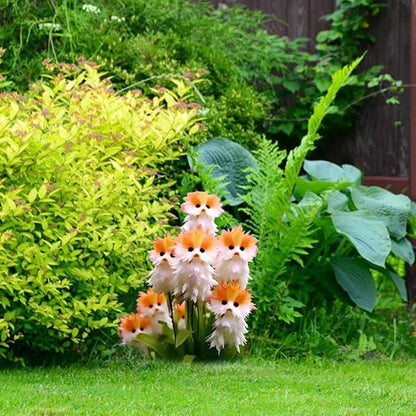 🐱Magic Cat Eye Seeds + Free Organic Pot Mix (Imported From Japan)