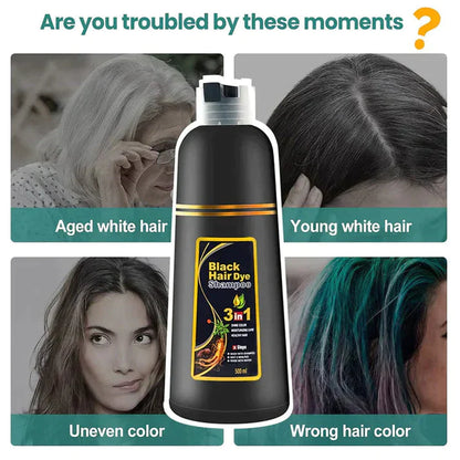 Black Hair Shampoo (Pack of 3)
