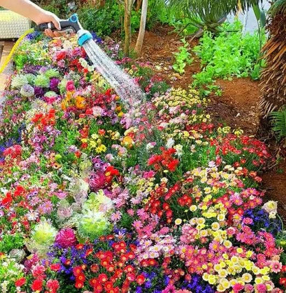 120 Varieties of Flower Seeds & Get FREE Plant Growth Supplement (BUY 1 GET 1 FREE)