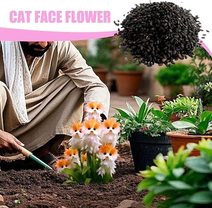 🐱Magic Cat Eye Seeds + Free Organic Pot Mix (Imported From Japan)