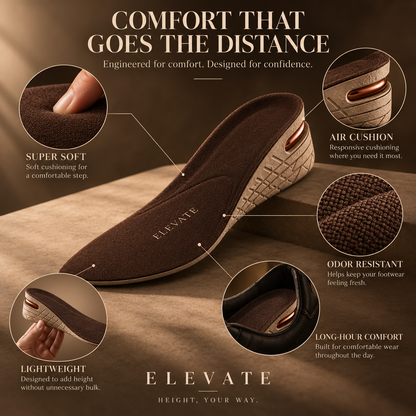 The Elevate Tall Cushion (Pack of 2 Cushion)