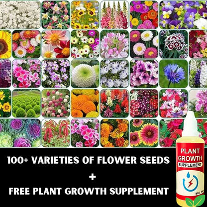 120 Varieties of Flower Seeds & Get FREE Plant Growth Supplement (BUY 1 GET 1 FREE)